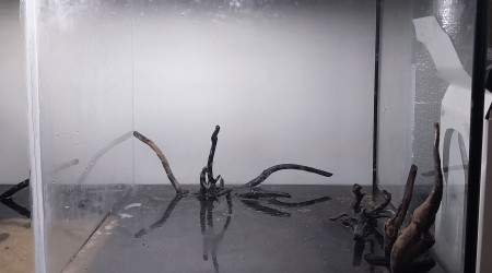 aquarium Le monde de Bebou