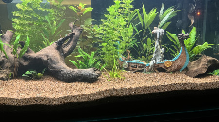 aquarium Aqua viking