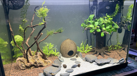 aquarium Mon 60 litres