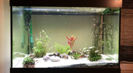 aquarium 220L
