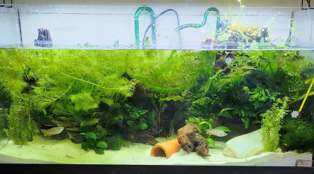 aquarium 120 Litres
