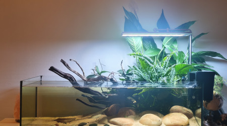 aquarium Shallow 120L