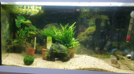 aquarium Bac hopital