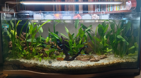 aquarium 130 litres