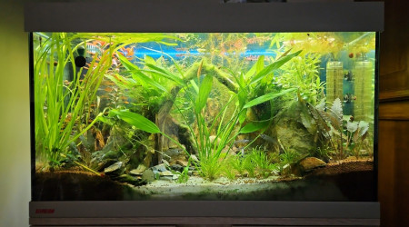 aquarium eheim 126 asie