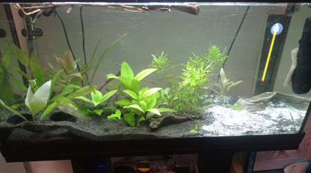 aquarium Premier bac ever