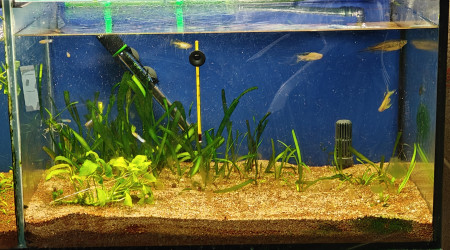 aquarium Eheim 240 - Demi Droite