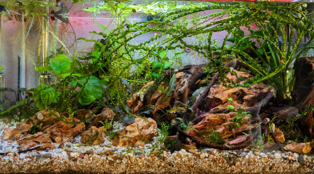 Lumière d'équinoxe