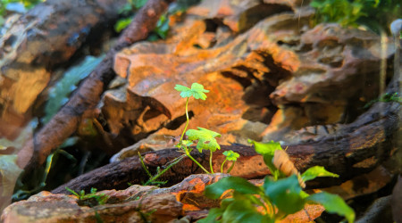 Lumière d'équinoxe