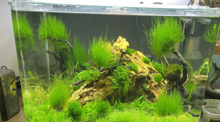 aquarium Nano 60 L