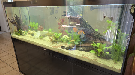 aquarium Aquarium 800 l