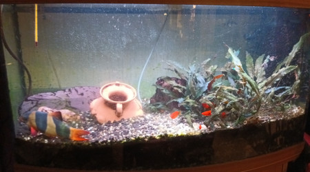 aquarium Mon Vision 180l