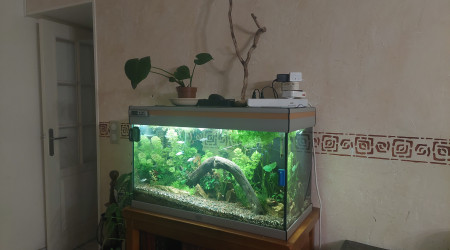 aquarium Communautaire 150l
