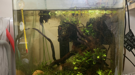 Ça pousse dans le 30L
