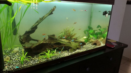 aquarium 180litre