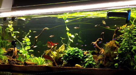 aquarium 300l