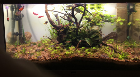 aquarium 180L