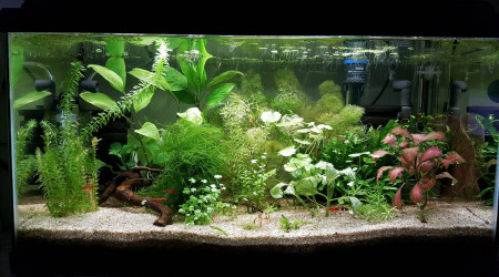 aquarium 60litres