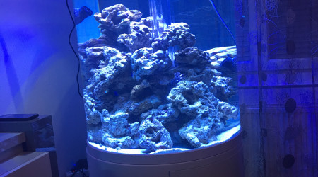 aquarium Matin