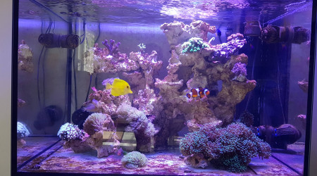 aquarium Elos 70