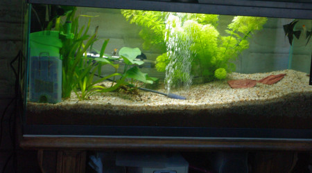 aquarium INWA/ confort 80