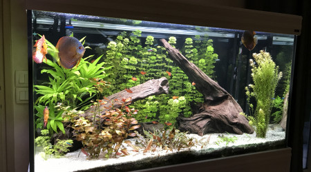 aquarium Aquatlantis 420l