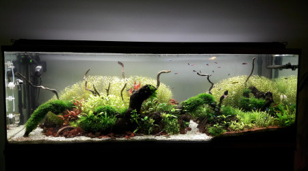 aquarium 300l