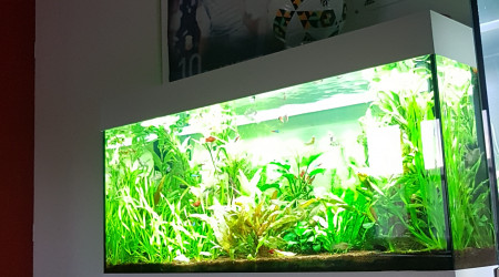 aquarium Rio 180