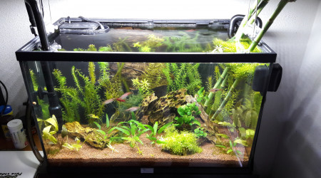 aquarium 55litres