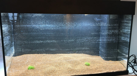 2017.11.05 Mise en eau