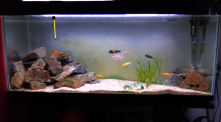 aquarium Taganyka 240L