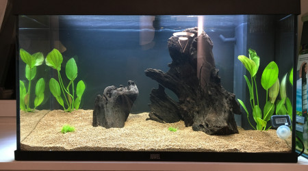 2017.11.22 Installation racines