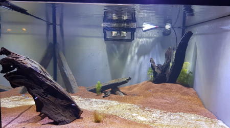 aquarium Gros bac