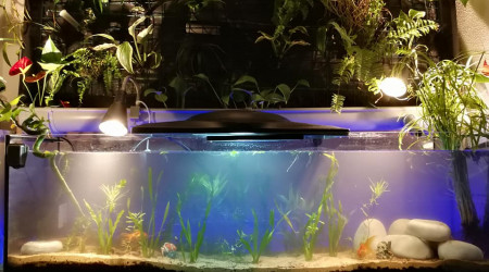 maurice et valentine