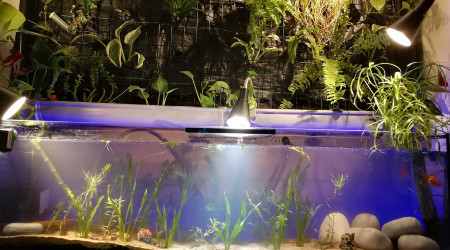 maurice et valentine