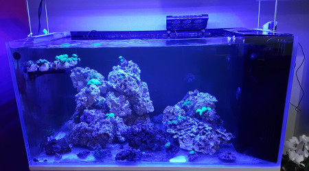 aquarium Ultra Clear 100 SW