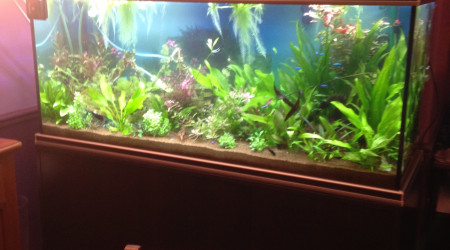 Deux mois d'installation