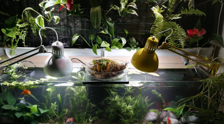 ajout de c02 et filtre