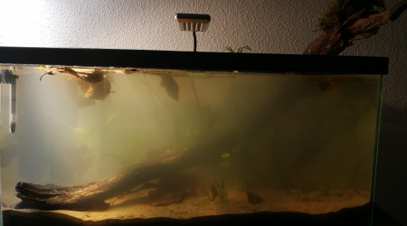 mise en eau 12/12/17