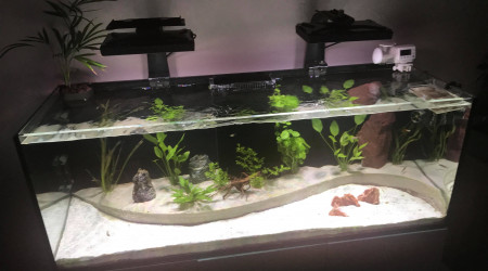 aquarium BAC450L