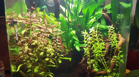 aquarium Nano 30L