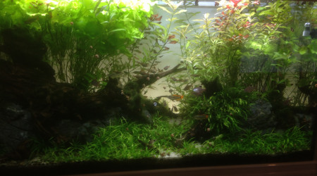 Une coupe s'impose...