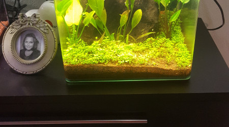 aquarium Nano 30L