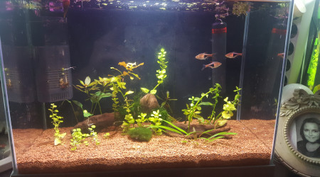 aquarium Nano 20L