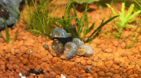 L'heure de la bouffe