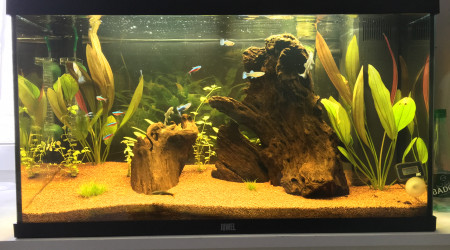 aquarium Juwel Rio 125