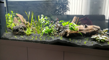 Plantation jour 3 vue de dos