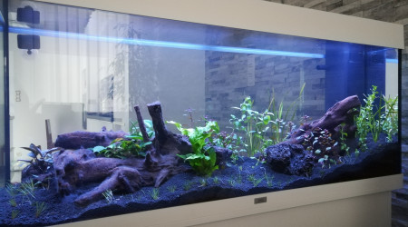 Plantation jour 1 (de nuit) vue de face