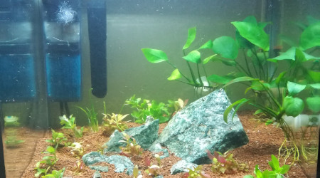 aquarium Le Petit RC