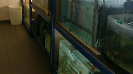 aquarium Elevage